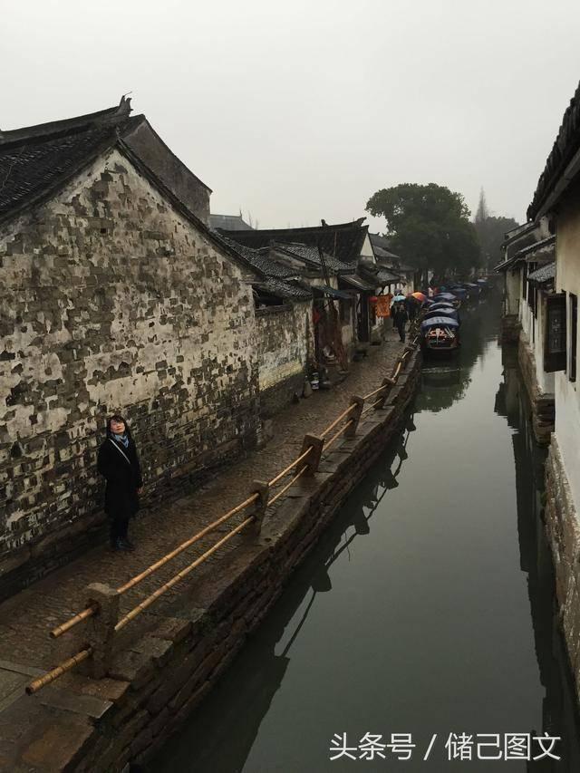 阴暗森林